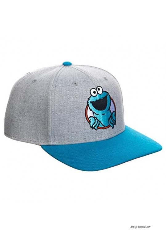 Sesame Street Cookie Monster Snapback Hat