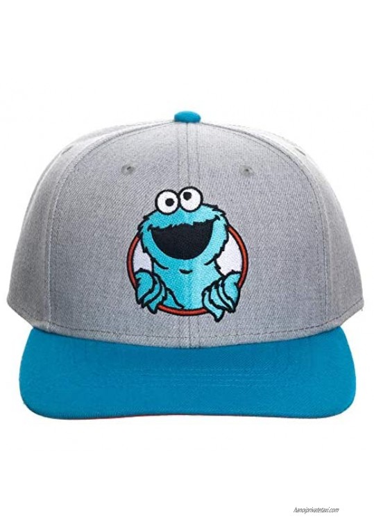 Sesame Street Cookie Monster Snapback Hat