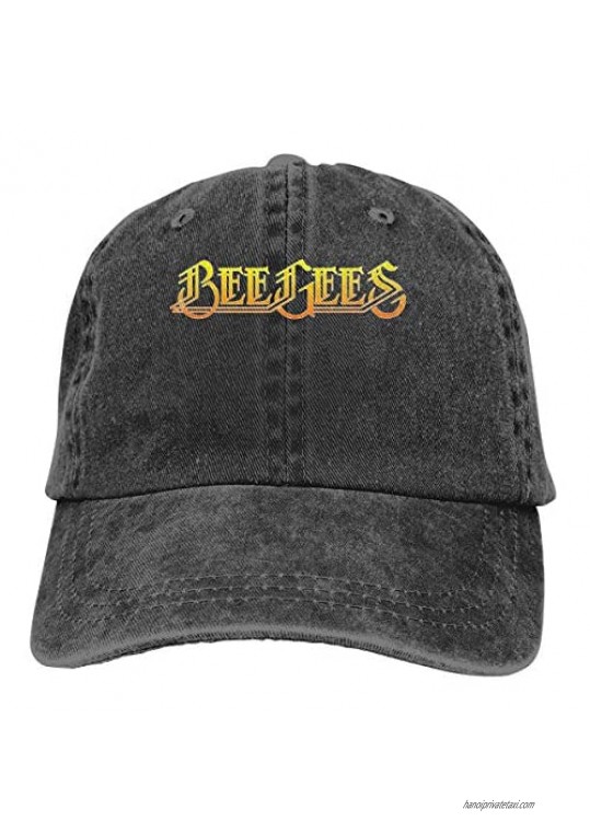 JWGDCBY Bee Gees Man Adult Hip Hopheaddress Cowboy Hat Casquette