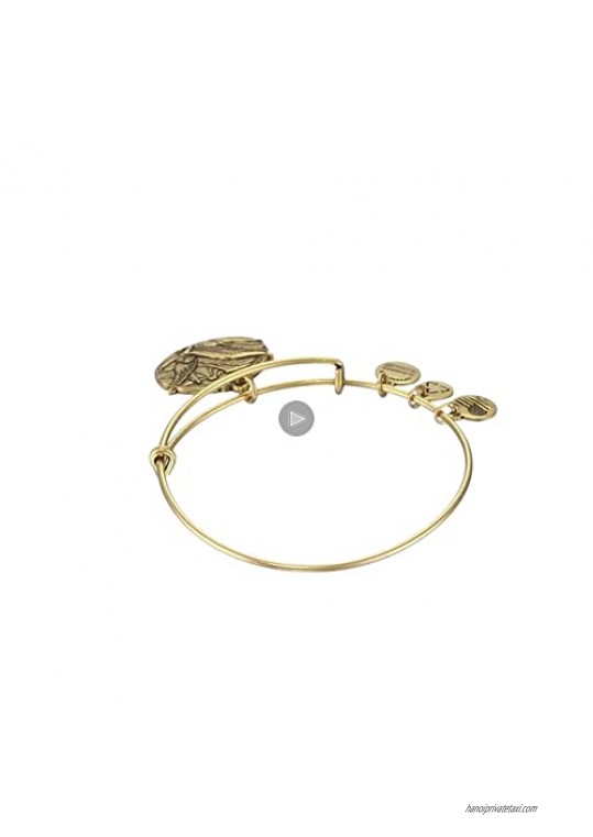 Alex and Ani Guardian of Freedom Expandable Wire Bangle Bracelet 2.5
