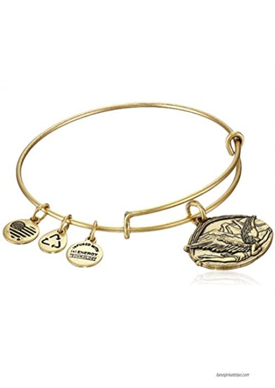 Alex and Ani Guardian of Freedom Expandable Wire Bangle Bracelet 2.5