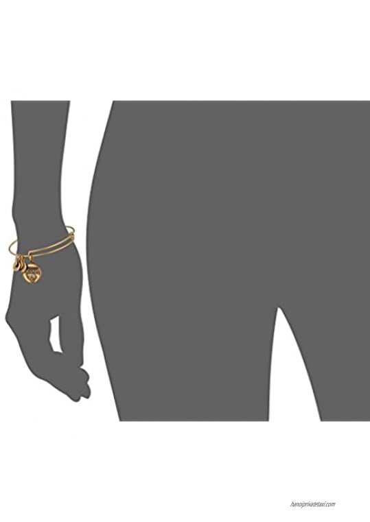 Alex and Ani Nfl Jacksonville Jaguar Logo Expandable Wire Rafaelian Bangle Bracelet