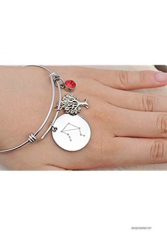 Custom Horoscope Bracelets Astrology Bangle Constellation Charm Birthstone Birthday Gift for Women Girls