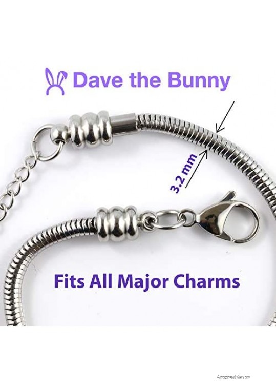 Donkey Bracelet | Stainless Steel Snake Chain Bracelet