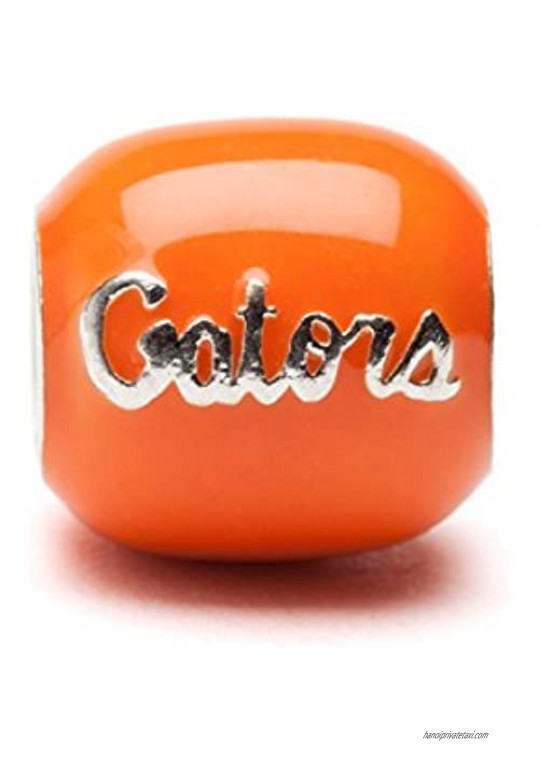 University of Florida Charms | Set of Two Florida Gator Charms | Stainless Steel Florida Charms | Fits Most Popular Charm Bracelets
