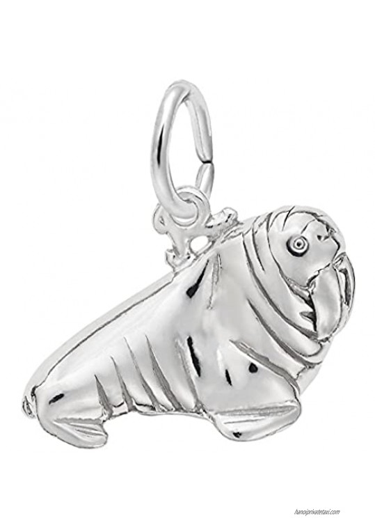 Walrus Charm Charms for Bracelets and Necklaces
